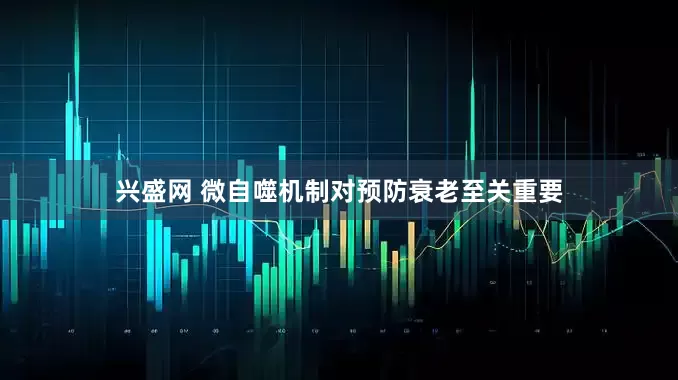 兴盛网 微自噬机制对预防衰老至关重要