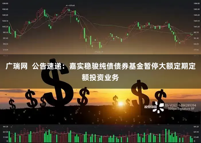 广瑞网  公告速递：嘉实稳骏纯债债券基金暂停大额定期定额投资业务