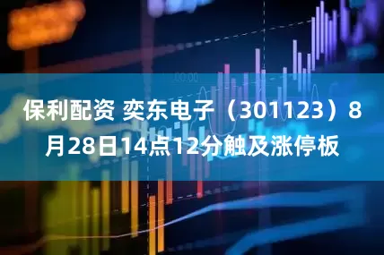 保利配资 奕东电子（301123）8月28日14点12分触及涨停板